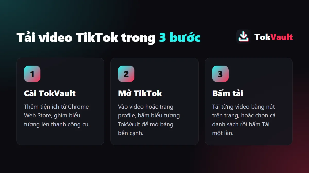 Hướng dẫn tải video TikTok không logo bằng TokVault trong 3 bước