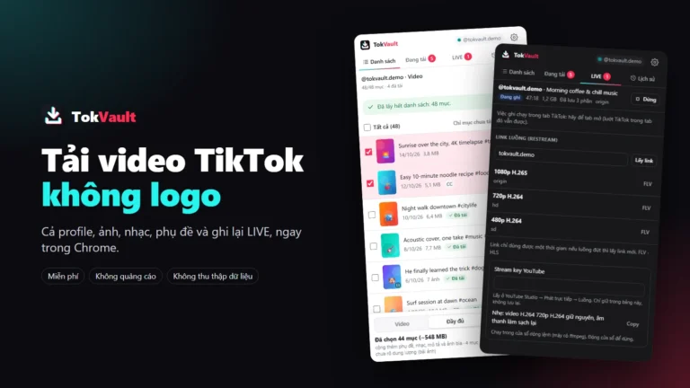 Giao diện tiện ích TokVault tải video TikTok không logo trên Chrome