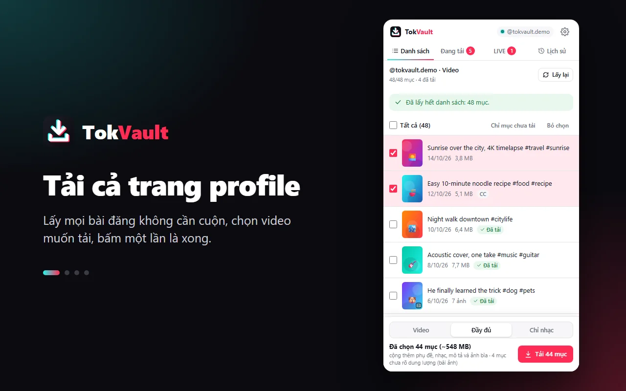 Tải cả profile TikTok bằng TokVault, chọn nhiều video cùng lúc