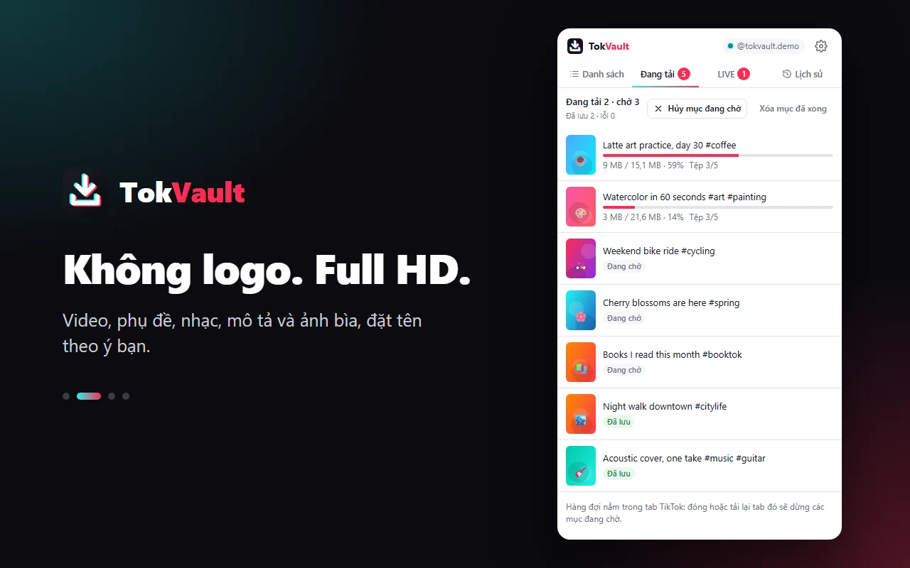 Hàng đợi tải video TikTok không logo trong TokVault