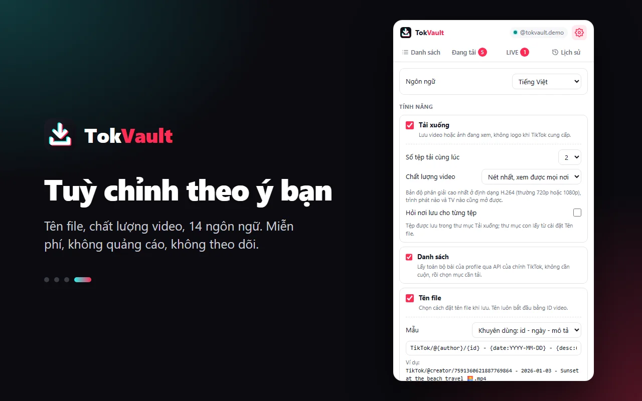 Cài đặt tên file, chất lượng video và ngôn ngữ trong TokVault
